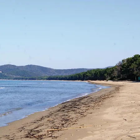 Roseto Immacolata Roccastrada