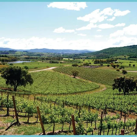 Roseto Immacolata * Roccastrada